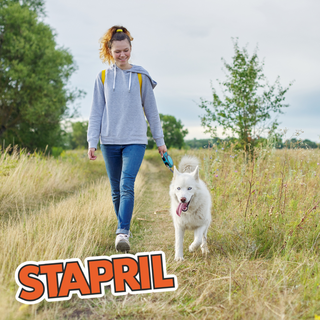 Stapril Afbeeldingen Website